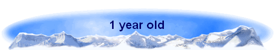 1 year old