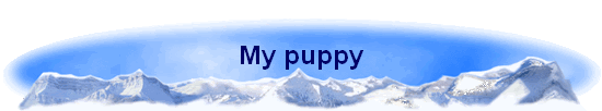 My puppy